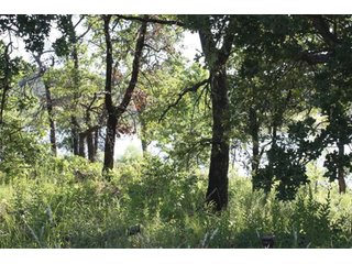 Property photo 5 - Creek County - Oklahoma Land Auction, 1,107 Acres 2 Tracts